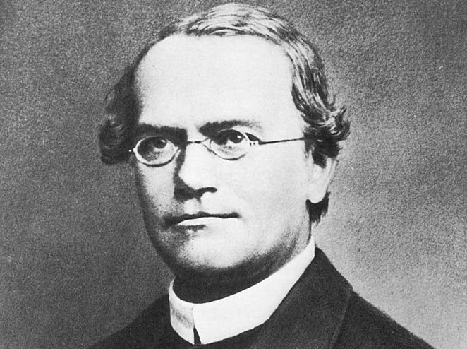 Gregor Mendel, father of the research on genetics