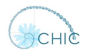 Logo of the EU financed research program CHIC, for genome editing in chicory