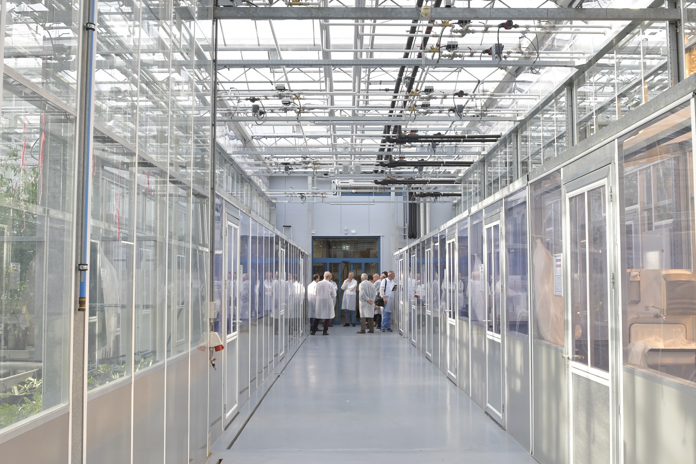 Visitors in KeyGene's research greenhouse in Wageningen, the Netherlands