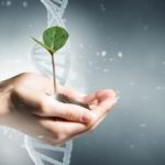 Artist's impression of two hands holding a seedling and a DNA strain in the back