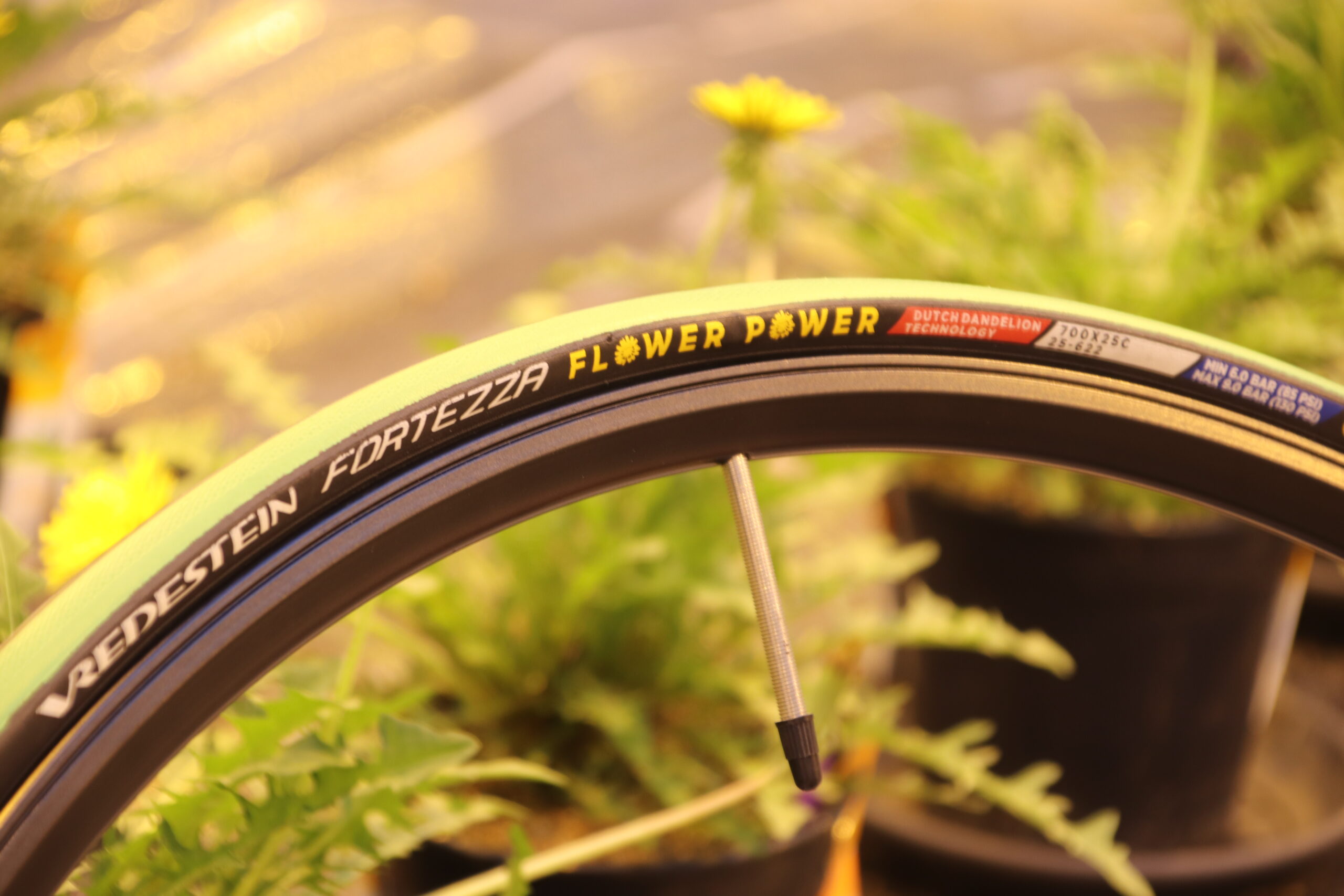 Bicycle tyre by Vredestein (Fortezza Flower Power) made of rubber extracted from the taproots of rubber dandelion plants