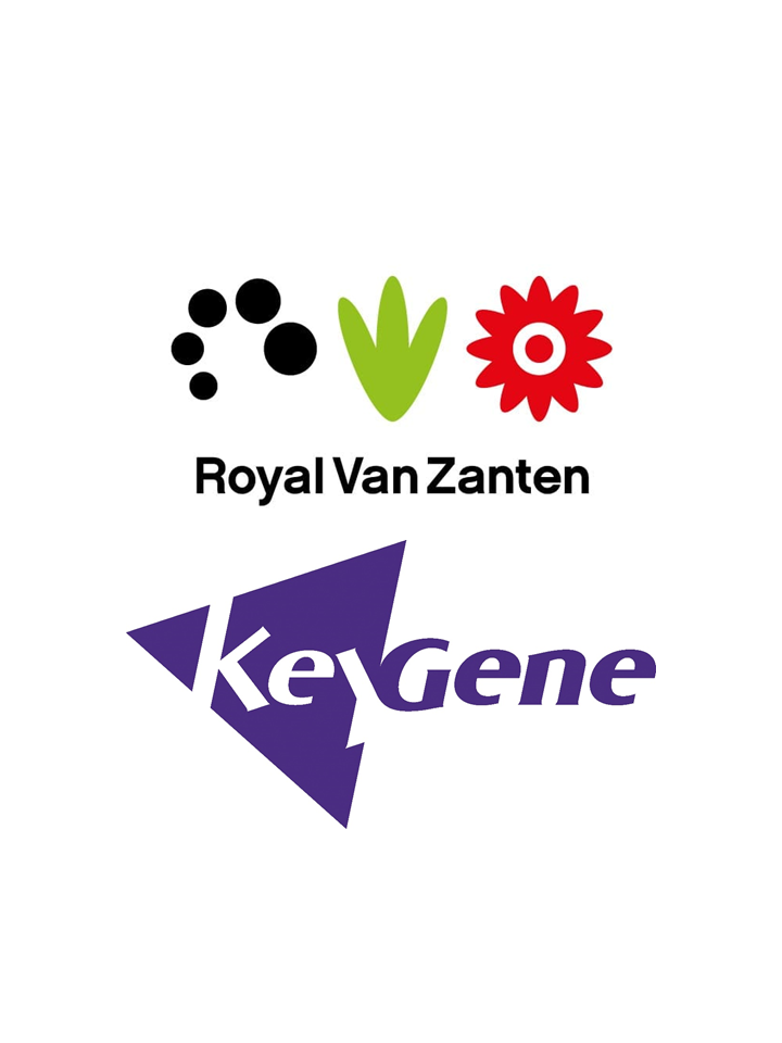 Combination of two logos: Royal Van Zanten and KeyGene