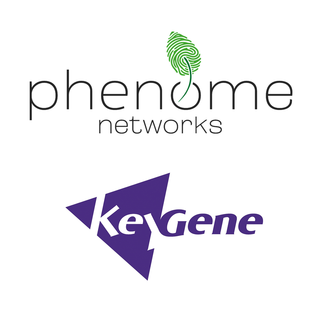 Combination of two logo's: Phenome Networks and KeyGene