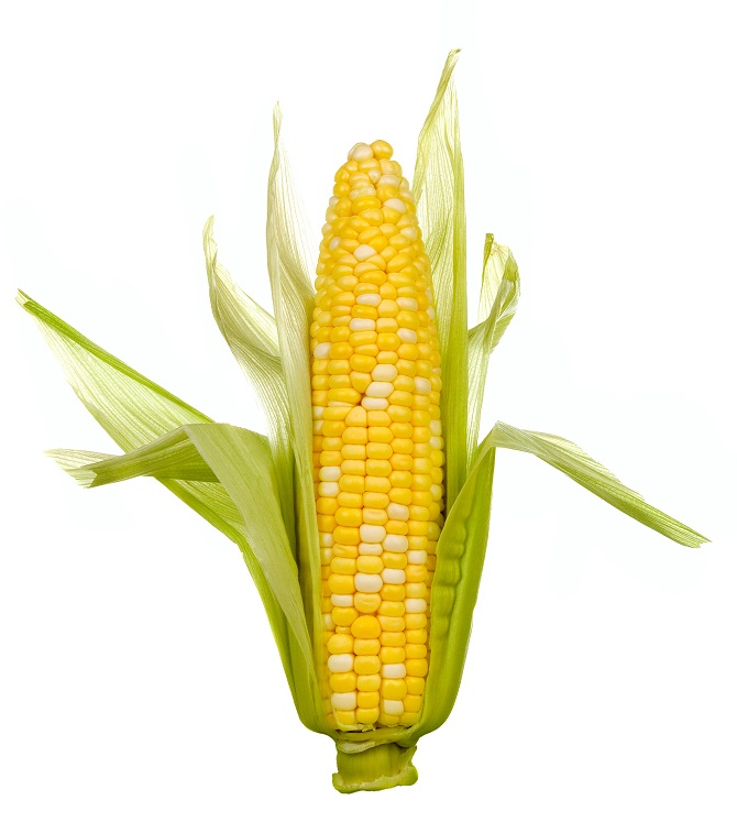 corn on the cob